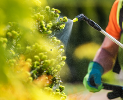 untitled design 2025 11 27t231232.677