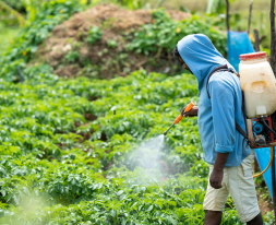 untitled design 2025 11 27t231341.605