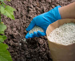 untitled design 2025 11 28t002542.483