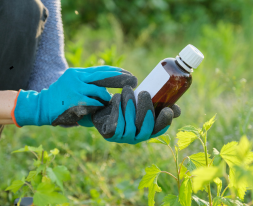 untitled design 2025 11 28t002745.171