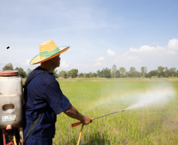 untitled design 2025 11 28t003010.685