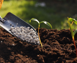 untitled design 2025 11 28t003223.659