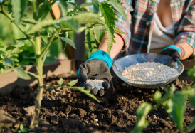 untitled design 2025 12 03t041930.136